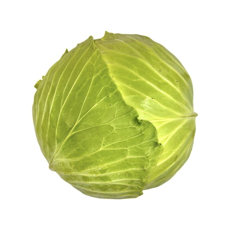 Kapusta biela PLOCHÁ